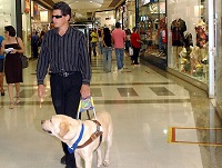 hombre ciego con perro guía