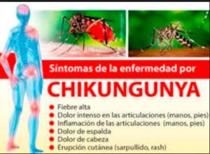 Síntomas chikungunya