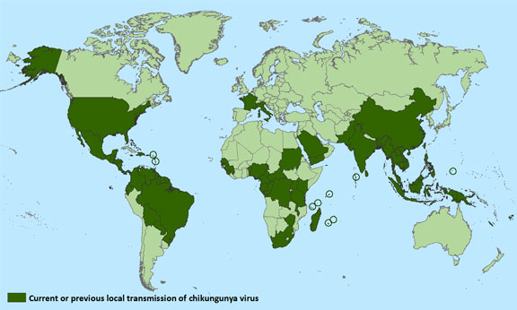 Current or previus local trasmision of chikungunya virus