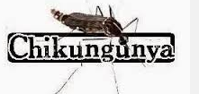 Sitio Fiebre Chikungunya