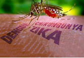 Piden prevenir el zika, chikungunya y dengue