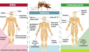  zika, dengue, chikungunya