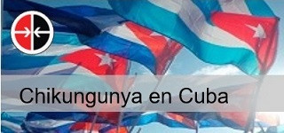 Trabajos periodísticos sobre el chikungunya en Cuba… slider cuba