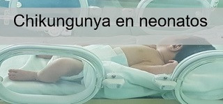 Publicaciones sobre el tema slider neonatos