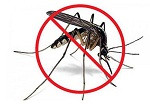 eliminar mosquito