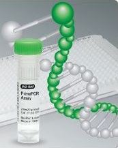 Elementos de la prueba por PCR