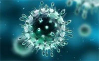 virus coronavirus