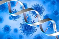 genes virus