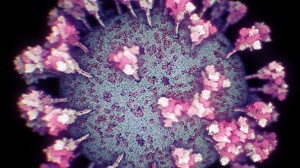 Imagen real del coronavirus SARS-CoV-2 - Nanographics