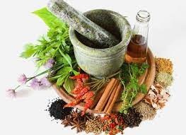 medicina tradicional plantas