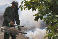 vigilancia-y-lucha-antivectorial dengue