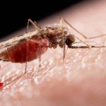 Zika-Nuevo-virus-mortal-580x330