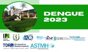 Imagen-Dengue2023