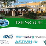 dengue-2024-19-a-30-agosto-2024-768x438