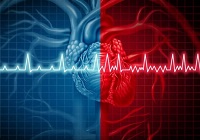 enfermedades cardiovasculares