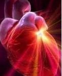Factores de riesgo cardiovascular