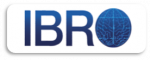 IBRO International Brain Research Organization. Organización internacional cuyo objetivo es promover y apoyar la formación en el área de las neurociencias y la investigación colaborativa en todo el mundo.