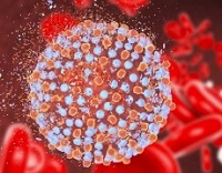 virus de la hepatitis c
