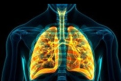 portada pulmones neumologia