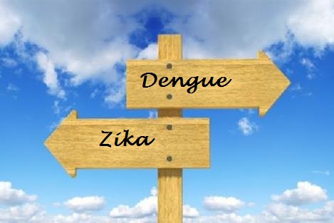 dengue-zika