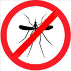 no al mosquito 2